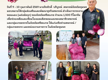 การกระจาย หอมแดง (แต่งมัดจุก) ของจังหวัดศรีสะเกษ จำนวน ... พารามิเตอร์รูปภาพ 13