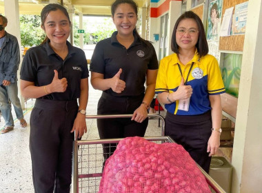 การกระจาย หอมแดง (แต่งมัดจุก) ของจังหวัดศรีสะเกษ จำนวน ... พารามิเตอร์รูปภาพ 9