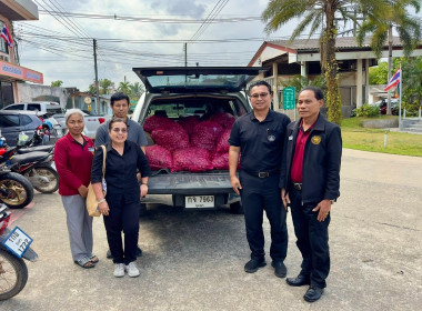 การกระจาย หอมแดง (แต่งมัดจุก) ของจังหวัดศรีสะเกษ จำนวน ... พารามิเตอร์รูปภาพ 1