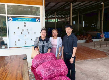 การกระจาย หอมแดง (แต่งมัดจุก) ของจังหวัดศรีสะเกษ จำนวน ... พารามิเตอร์รูปภาพ 2