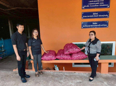 การกระจาย หอมแดง (แต่งมัดจุก) ของจังหวัดศรีสะเกษ จำนวน ... พารามิเตอร์รูปภาพ 3