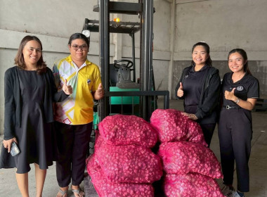 การกระจาย หอมแดง (แต่งมัดจุก) ของจังหวัดศรีสะเกษ จำนวน ... พารามิเตอร์รูปภาพ 6