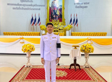 พิธีวันที่ระลึก ... พารามิเตอร์รูปภาพ 4