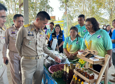 นายอนุชา นาคาศัย รัฐมนตรีช่วยว่าการกระทรวงเกษตรและสหกรณ์ ... พารามิเตอร์รูปภาพ 11