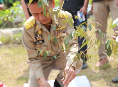 นายวงศ์ธารินทร์ พรหมรักษ์ สหกรณ์จังหวัดชุมพร พร้อมด้วย ... พารามิเตอร์รูปภาพ 12